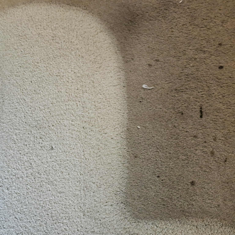 carpet cleaning intro